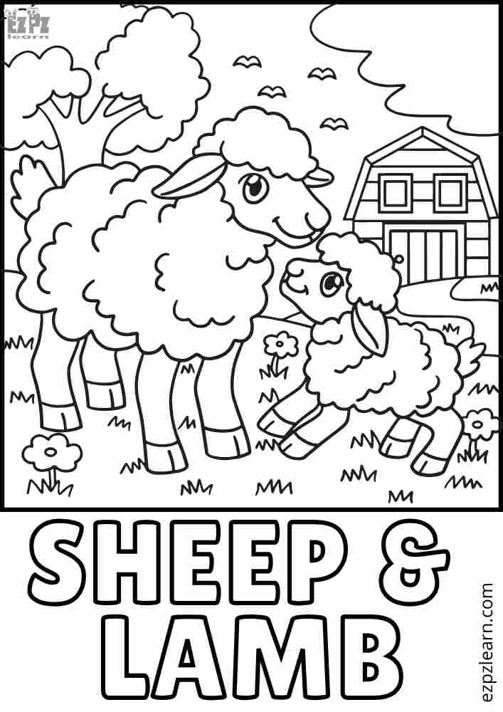 Sheep and Lamb Interactive Coloring Page